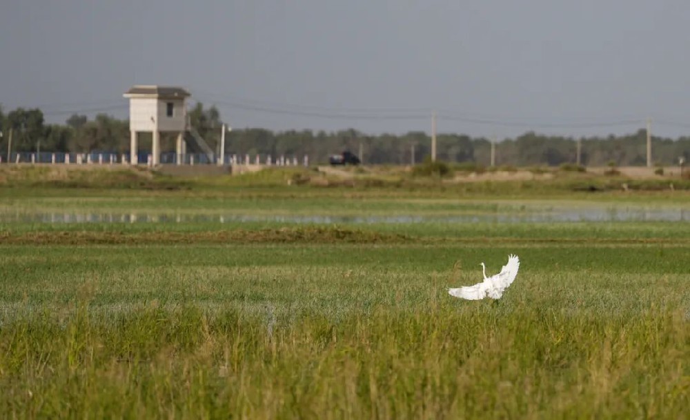 中国生态文明实践的世界意义